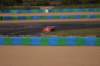 dsc06941_small.jpg