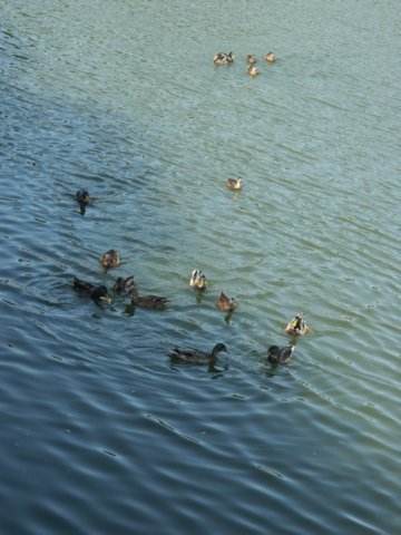 pict0053.jpg