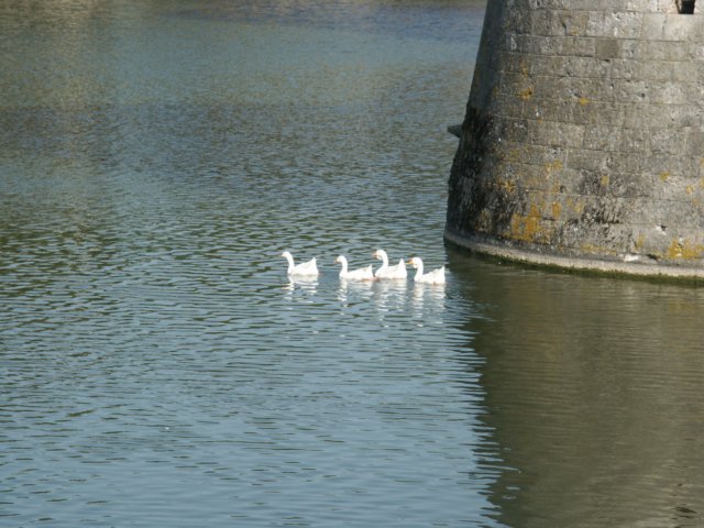 pict0056.jpg