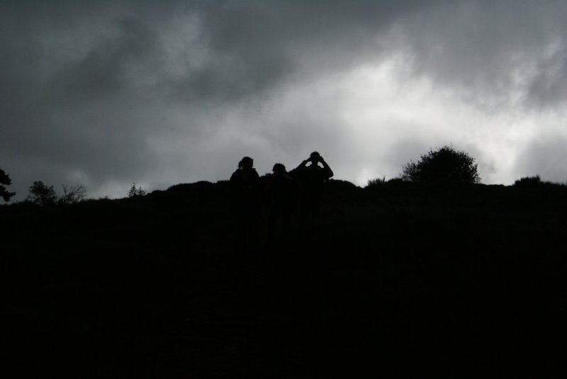 dsc02362.jpg