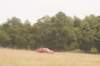 dsc07234_small.jpg
