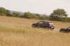 dsc07909_small.jpg