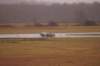 dsc03313_small.jpg