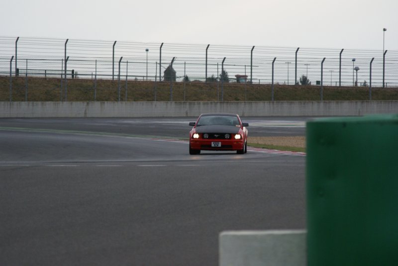 dsc08405.jpg
